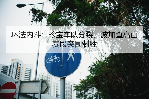 环法内斗：珍宝车队分裂，波加查高山赛段突围制胜