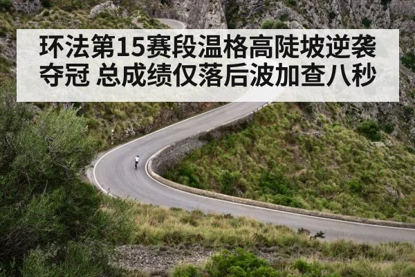 环法第15赛段温格高陡坡逆袭夺冠 总成绩仅落后波加查八秒
