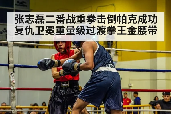张志磊二番战重拳击倒帕克成功复仇卫冕重量级过渡拳王金腰带