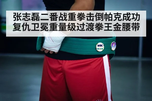boxing champion belt