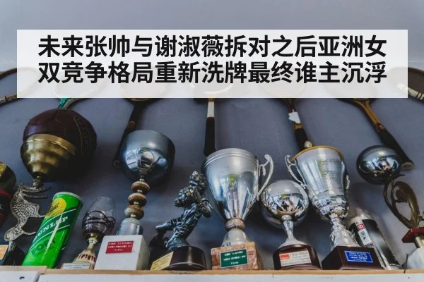 未来张帅与谢淑薇拆对之后亚洲女双竞争格局重新洗牌最终谁主沉浮